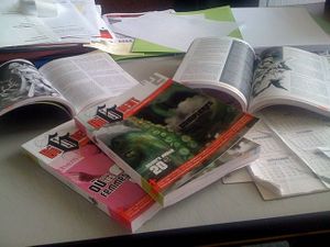 Di6Dent sort son Mook !